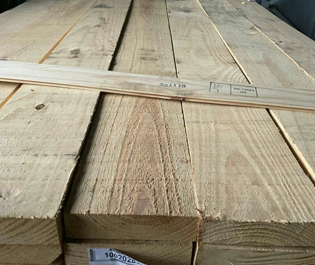 余姚阿根廷松木